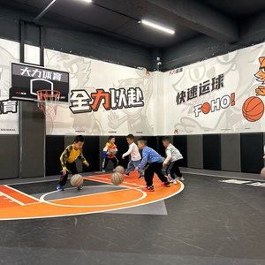 哪里能找到提供即时反馈的篮球训练营?深度解析与推荐